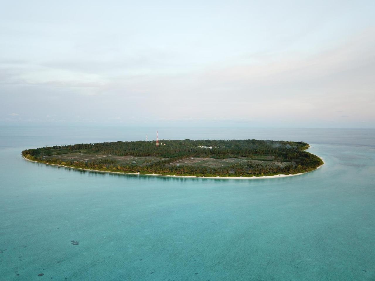 Amazing View Guest House Thoddoo Extérieur photo