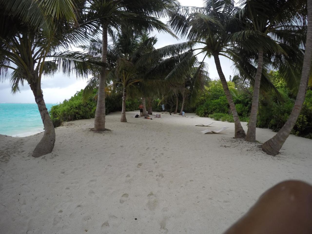 Amazing View Guest House Thoddoo Extérieur photo